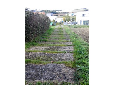 Foto 48